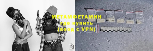 шишки Заволжье