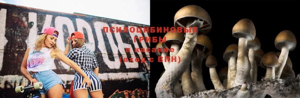 СК Алексеевка