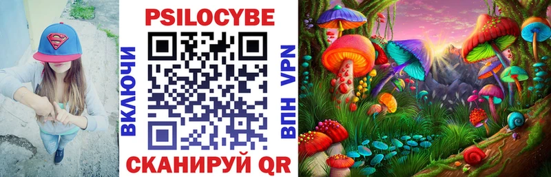 закладки  Владивосток  Псилоцибиновые грибы MAGIC MUSHROOMS 