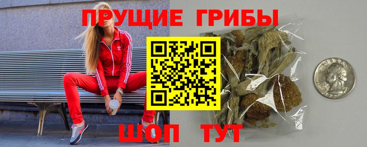 Владивосток  Галлюциногенные грибы прущие грибы  дарнет шоп  Вход с VPN 